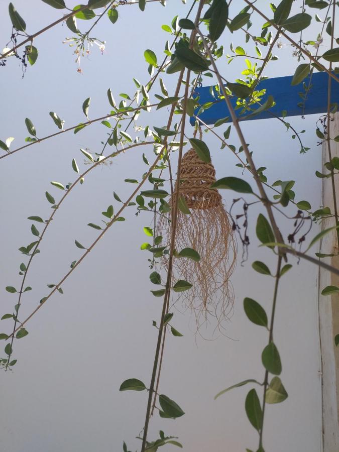 Ferienwohnung Dar Janis Djerba دار يانيس جربة Houmt Souk  Zimmer foto